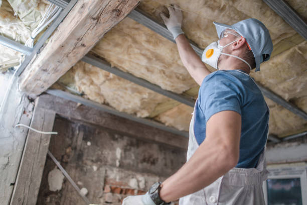 Best Spray Foam Insulation  in Mount Repose, OH